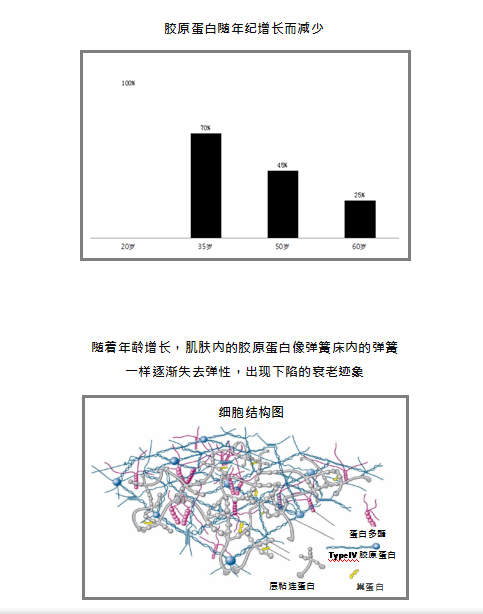 当前图片注释