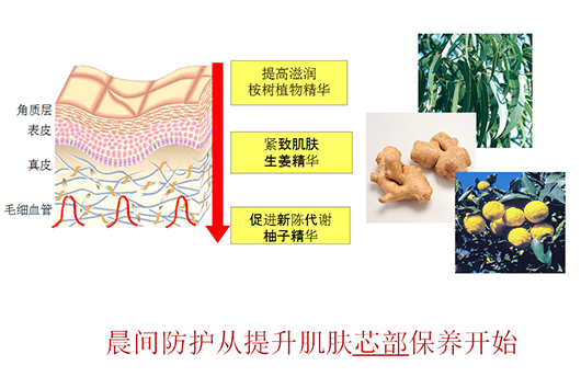 当前图片注释